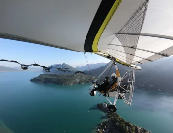 Volez-avec-oiseaux-Annecy-08001230