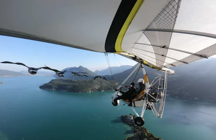 Volez-avec-oiseaux-Annecy-08001230