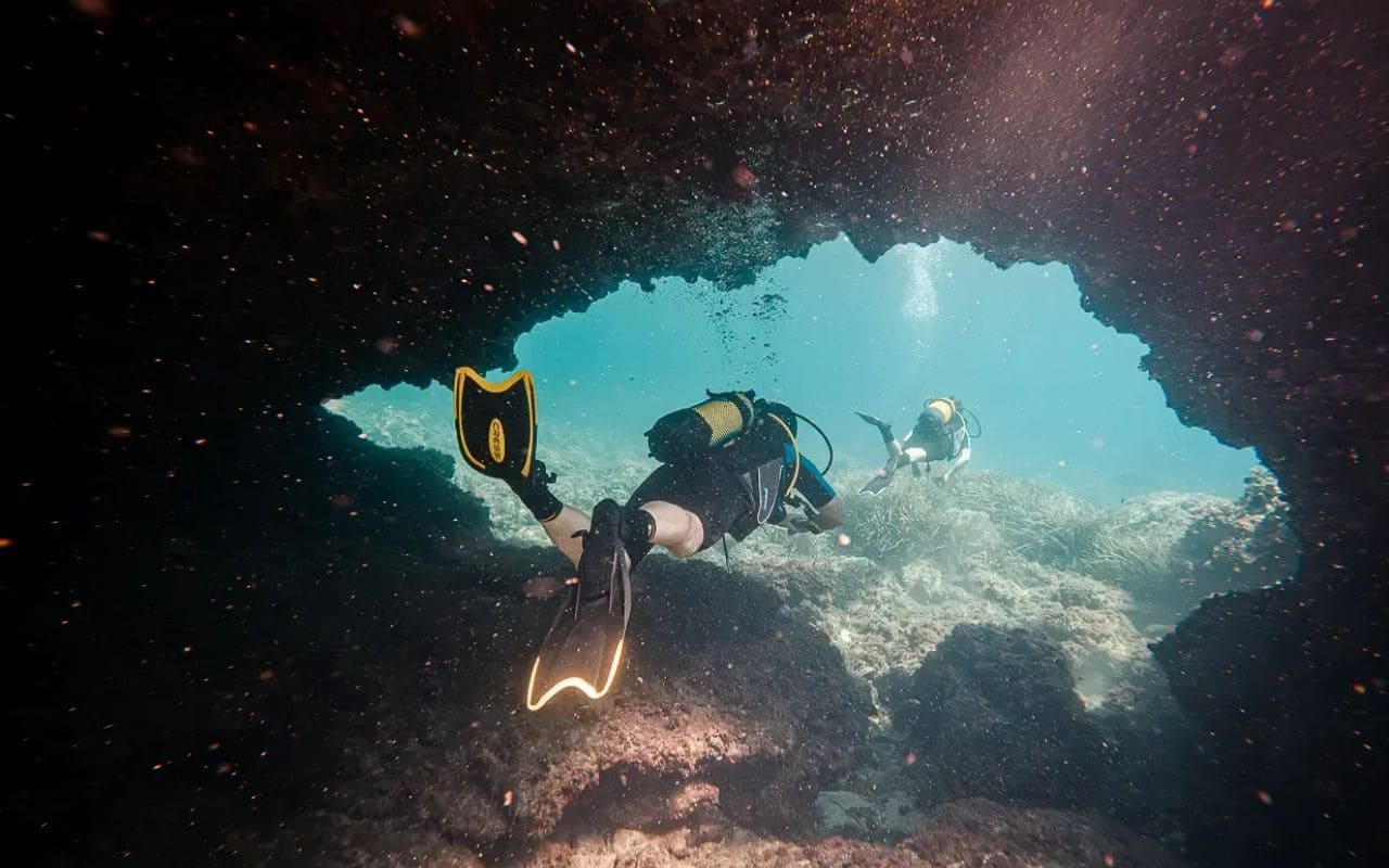 Plongee-sous-marine-Majorque-5